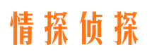 海陵市侦探调查公司